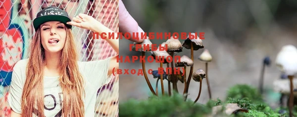 амф Няндома