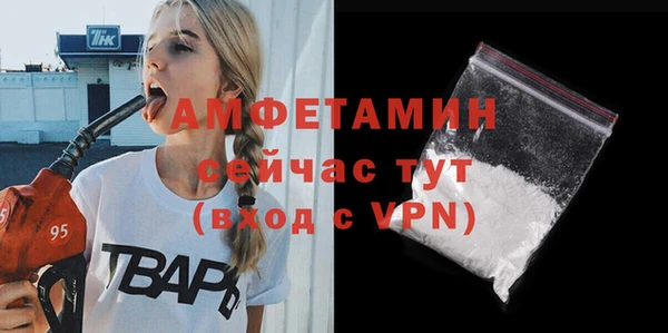амф Няндома