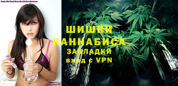 амф Няндома