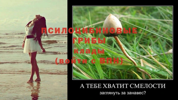 амф Няндома