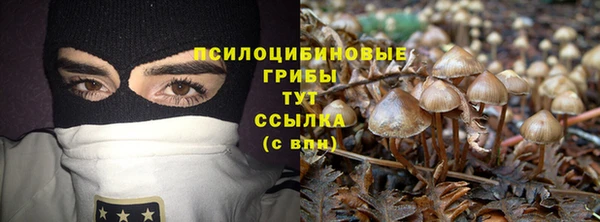 jwh Нязепетровск