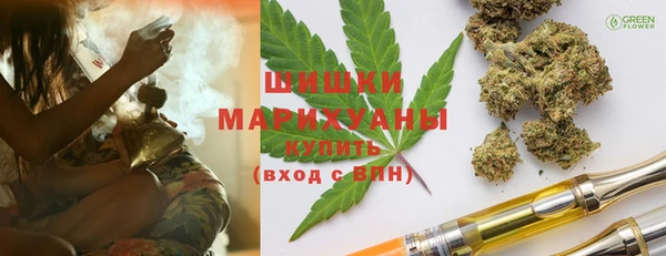 амф Няндома