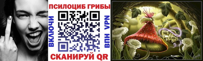 Галлюциногенные грибы мицелий  Слюдянка 